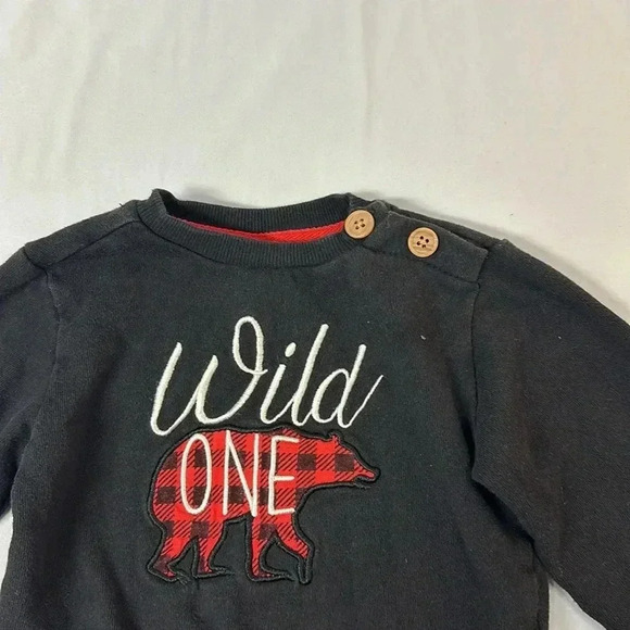 The Littlest - long sleeve pullover sweater/sweatshirt. Size 18-24 months - Picture 3 of 3
